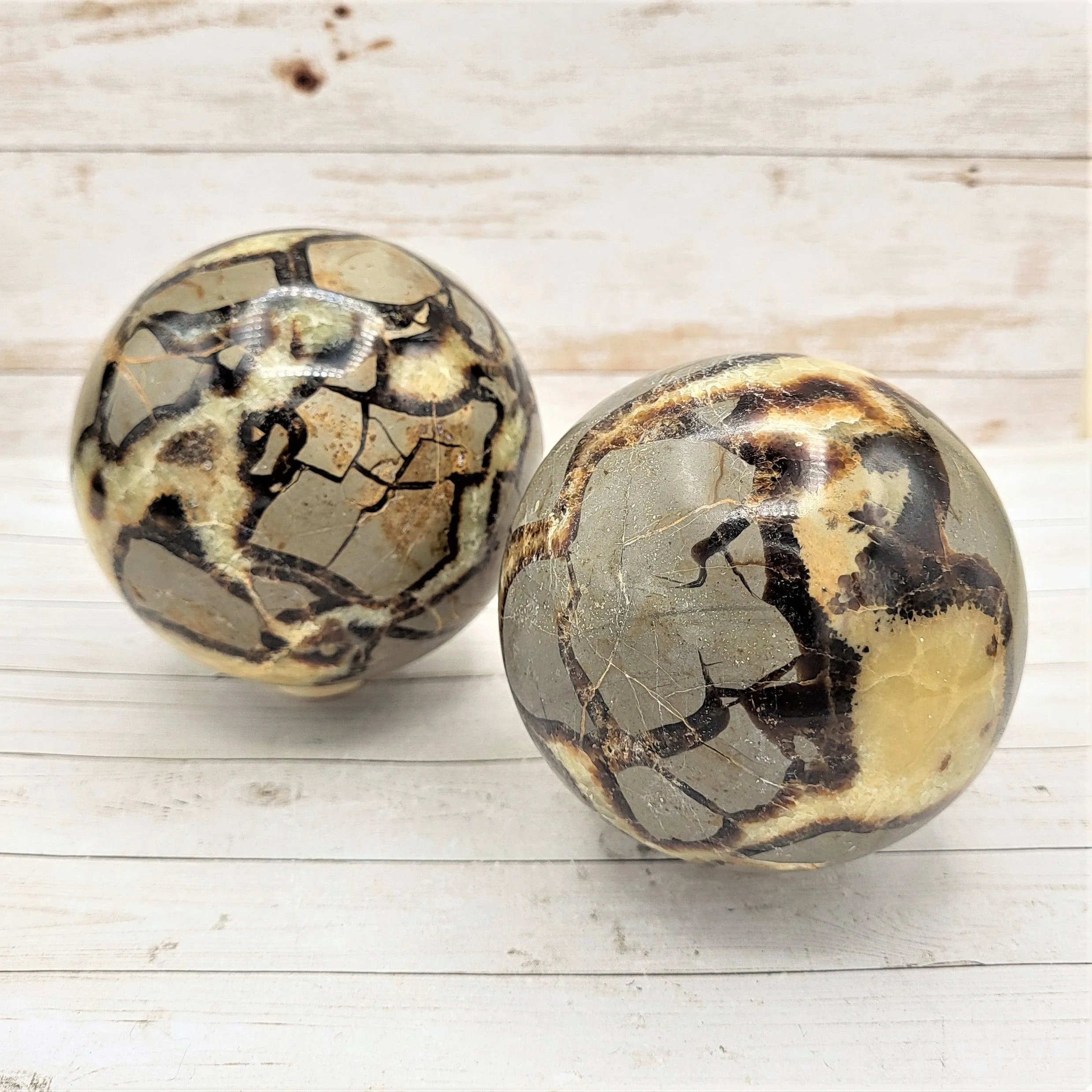 Copy of Septarian Nodule Spheres (Various Sizes)