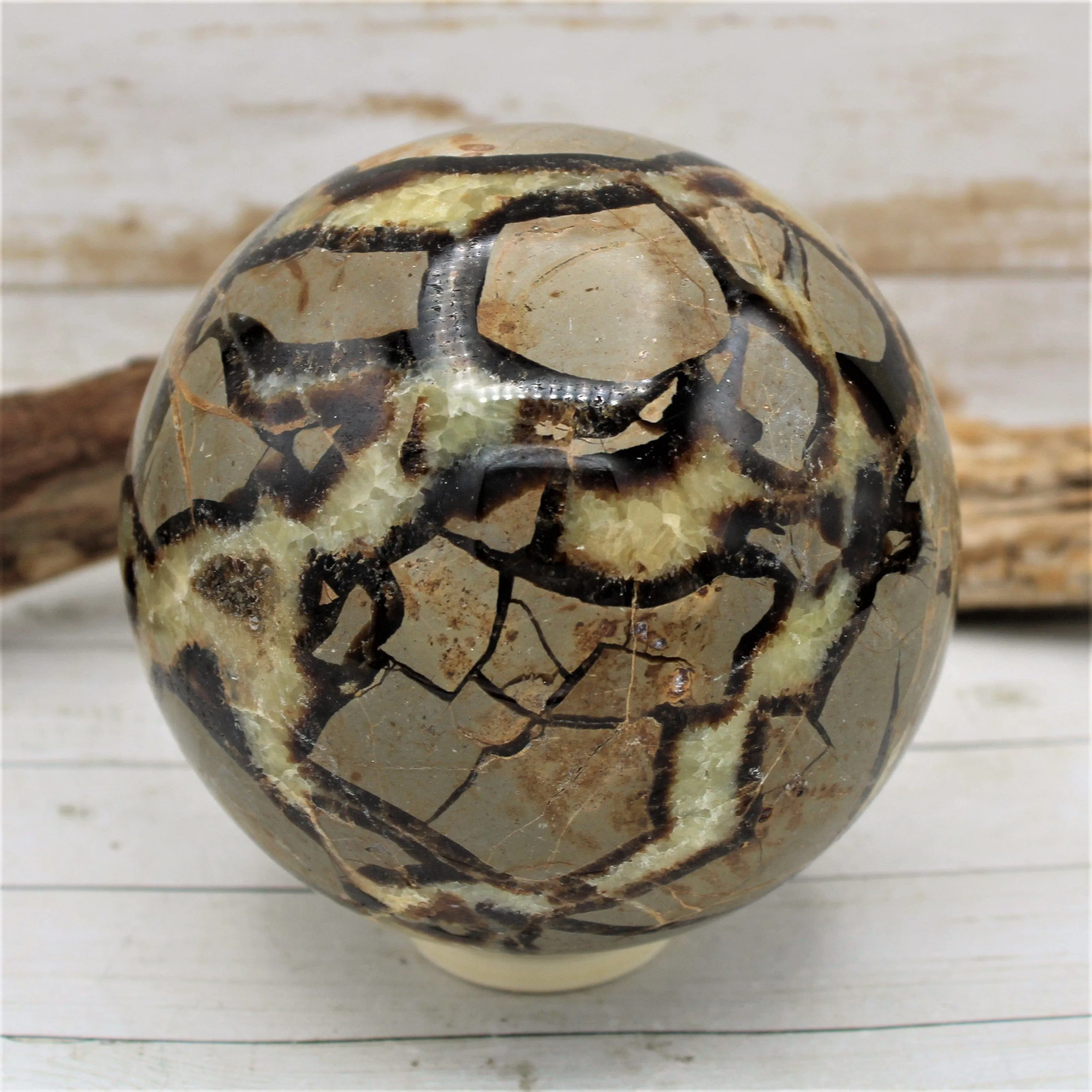 Copy of Septarian Nodule Spheres (Various Sizes)